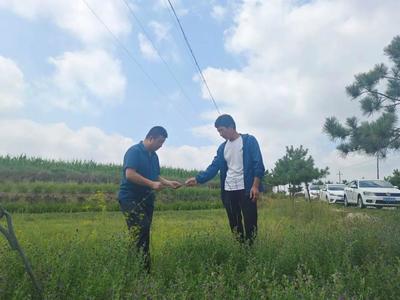 “三抓三促”行动进行时 以初级农副产品为切入点，激活乡村振兴新动能