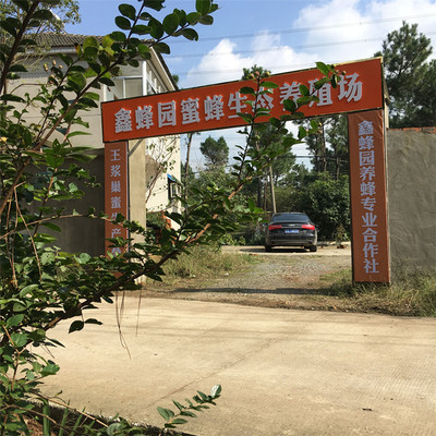 2018年40波美度以上油菜花结晶白蜂蜜批发指南 初级农副产品的优质选择